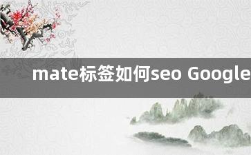 mate标签如何seo Google seo